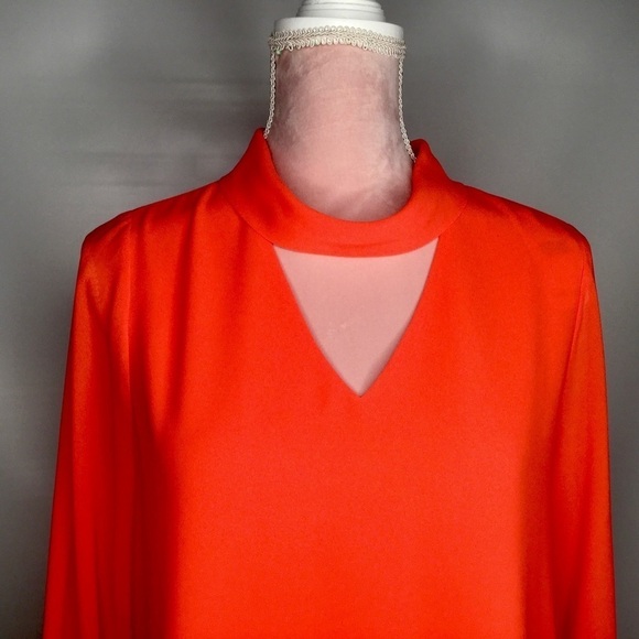 Naked Zebra gorgeous top. - Picture 4 of 8